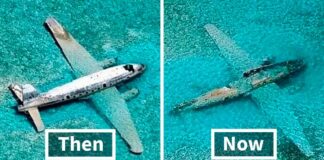People Are Sharing ‘Then And Now’ Pics On This Page To Show How Time Changes Things (40 New Pics)