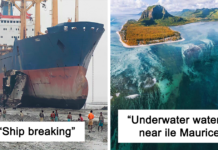 People Are Sharing Their Megalophobia Moments, And Here Are 50 Pics That Creeped Them Out (New Pics)