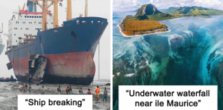 People Are Sharing Their Megalophobia Moments, And Here Are 50 Pics That Creeped Them Out (New Pics)