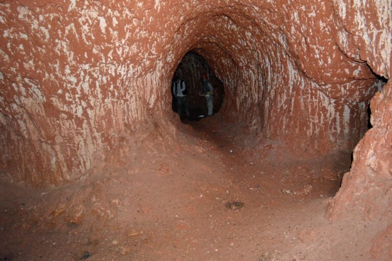 These Massive Tunnels Were Dug by a Giant Sloth That Lived 10,000 Years Ago in South America