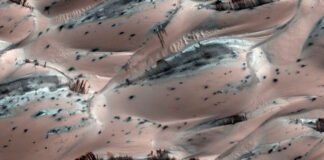 NASA Official Archives Show Trees On Mars | Clear Evidence of Life!