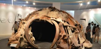 Perfectly Preserved Mammoth Bone Dwellings Found in Ukraine May Be the Earliest Examples of Architecture