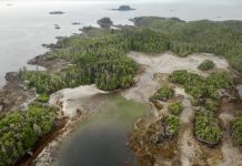 14,000-year-old ice age village discovered is 10,000 years older than the pyramids