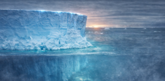 Scientists Discover a Hidden World Beneath Antarctic Ice After Massive Iceberg Breaks Away