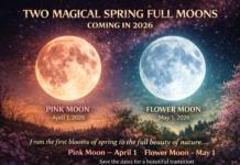 Two Magical Full Moons Will Light Up the Spring Sky in 2026